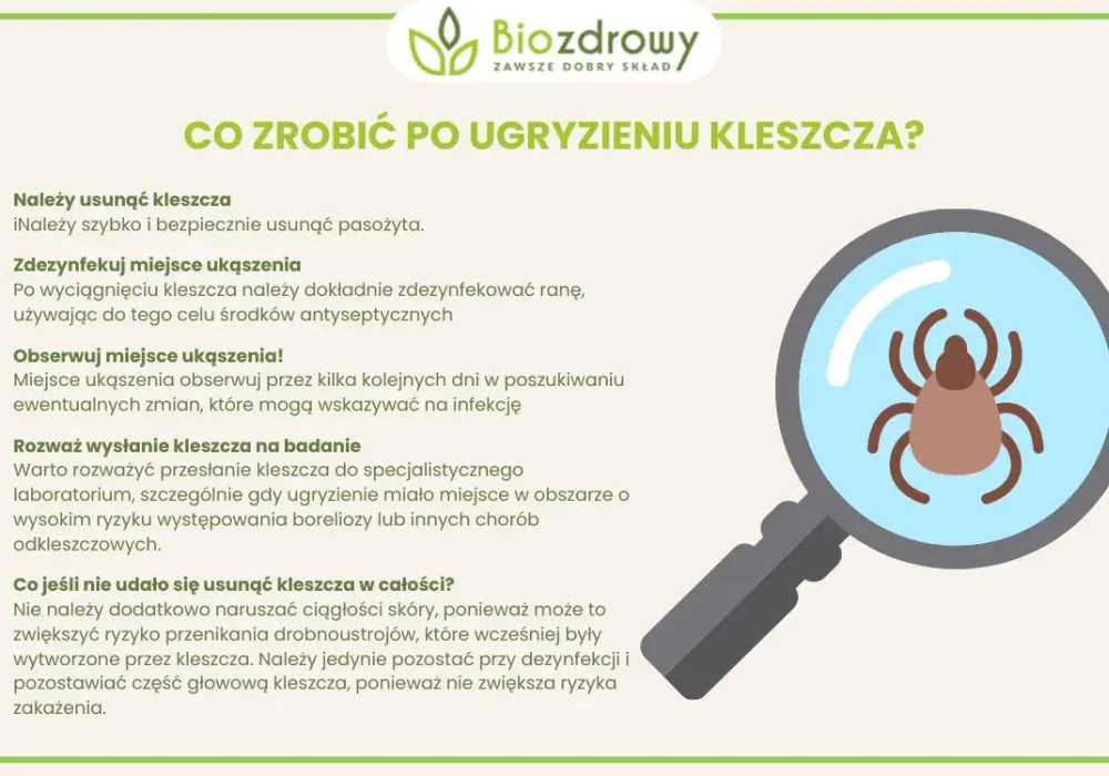 Jakie badania wykonać po ugryzieniu kleszcza, by uniknąć groźnych chorób?