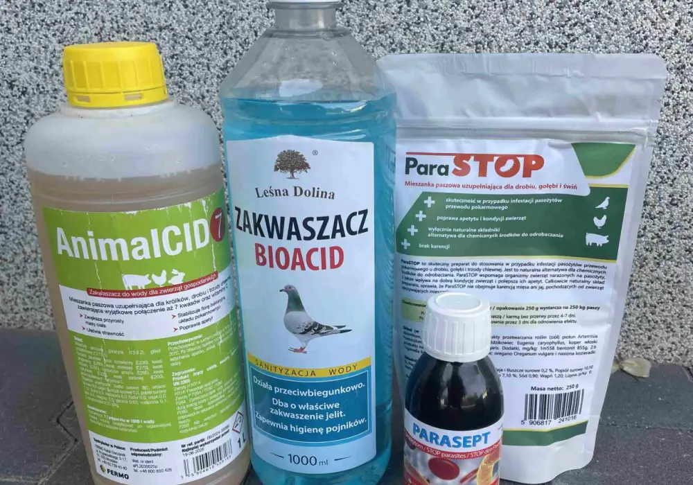 Czym odrobaczać gołębie, aby uniknąć poważnych problemów zdrowotnych?