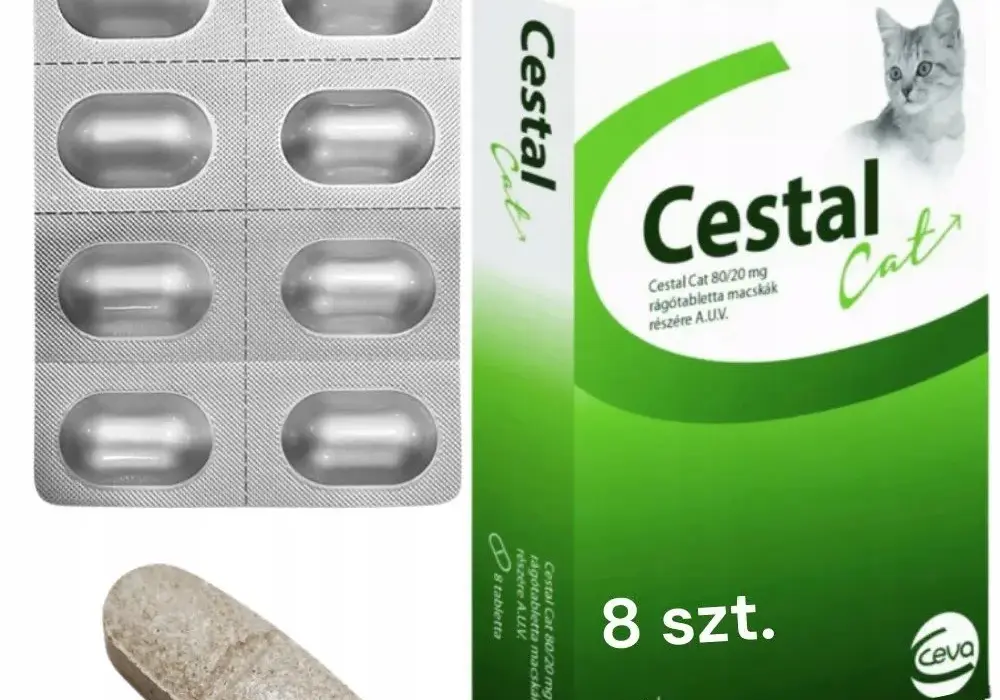 Jak działa tabletka na odrobaczanie kota? Skuteczność, działanie i skutki uboczne