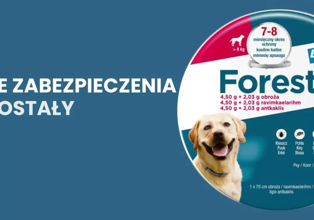 Czym różni się obroża Foresto od Seresto? Kluczowe różnice i skuteczność