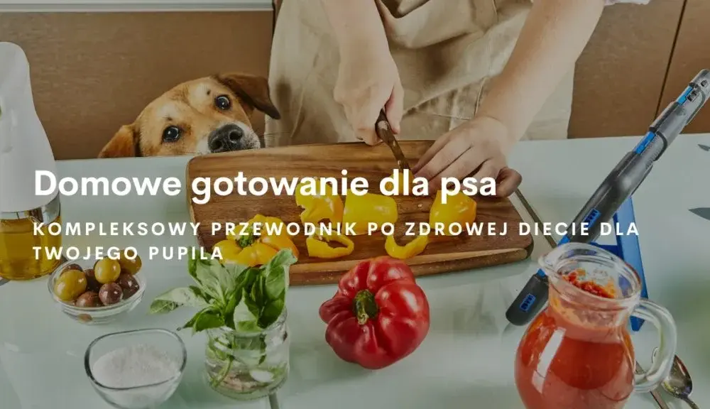 Jak gotować dla psa: zdrowe przepisy, które zachwycą Twojego pupila