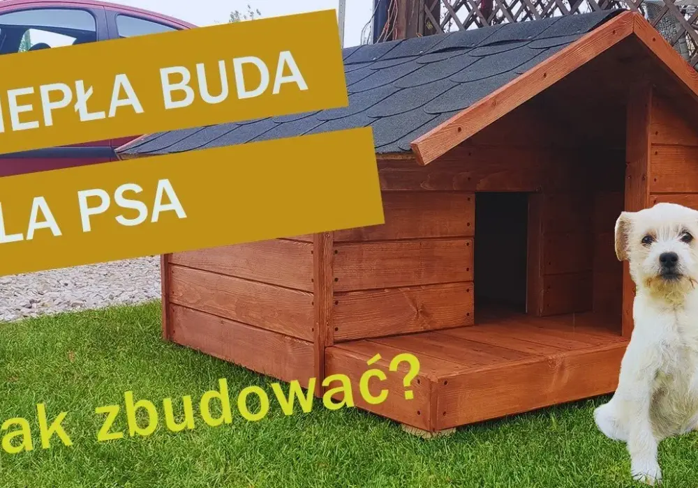 Jak zrobić budę dla psa - krok po kroku z dokładnymi wymiarami
