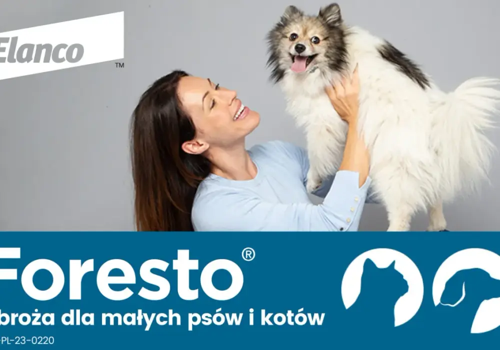 Czy obroże Foresto są bezpieczne? Poznaj ryzyko i skutki uboczne