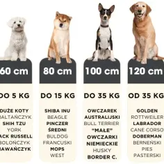 Jaki rozmiar legowiska dla psa? Wybierz idealne dla swojego pupila