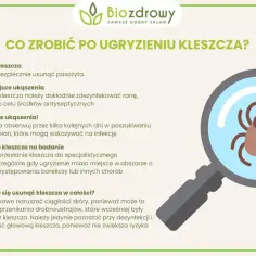 Jakie badania wykonać po ugryzieniu kleszcza, by uniknąć groźnych chorób?