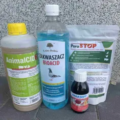 Czym odrobaczać gołębie, aby uniknąć poważnych problemów zdrowotnych?