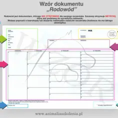 Ile kosztuje metryka dla psa? Sprawdź ceny i korzyści rodowodu dla twojego pupila