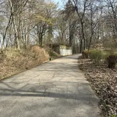 Gdzie na spacer z psem koło Krakowa? Odkryj najlepsze miejsca