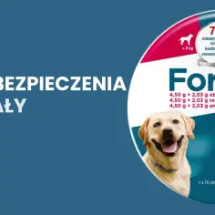 Czym różni się obroża Foresto od Seresto? Kluczowe różnice i skuteczność