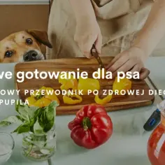 Jak gotować dla psa: zdrowe przepisy, które zachwycą Twojego pupila