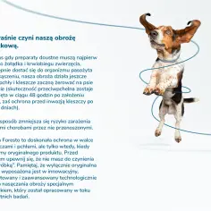 Czy obroża przeciw kleszczom jest szkodliwa dla psa? Oto prawda