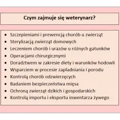 Czym zajmuje się weterynarz? Kluczowe obowiązki i usługi dla zwierząt