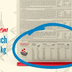 Ile karmy dla psa tabela - uniknij błędów w dawkowaniu jedzenia