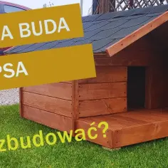 Jak zrobić budę dla psa - krok po kroku z dokładnymi wymiarami