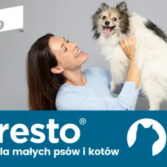 Czy obroże Foresto są bezpieczne? Poznaj ryzyko i skutki uboczne