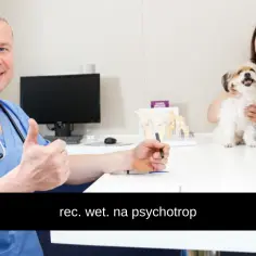 Czy weterynarz może wypisać receptę dla człowieka? Oto prawda