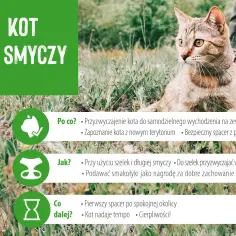 Jak przyzwyczaić kota do obroży, aby uniknąć stresu i niepokoju