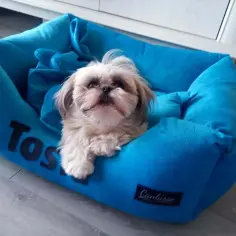 Jakie legowisko dla shih tzu zapewni komfort i bezpieczeństwo?