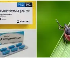 Jaki antybiotyk po ugryzieniu kleszcza zapobiega boreliozie? porady lekarza