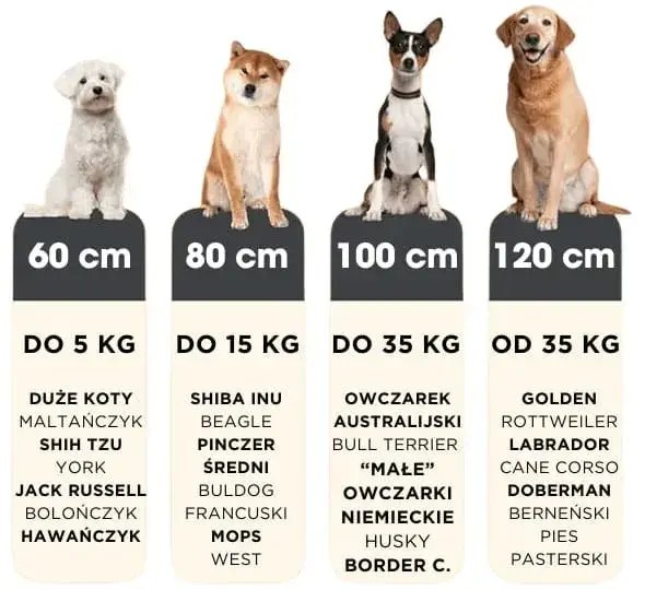 Jaki rozmiar legowiska dla psa? Wybierz idealne dla swojego pupila