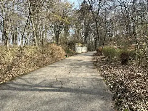 Gdzie na spacer z psem koło Krakowa? Odkryj najlepsze miejsca