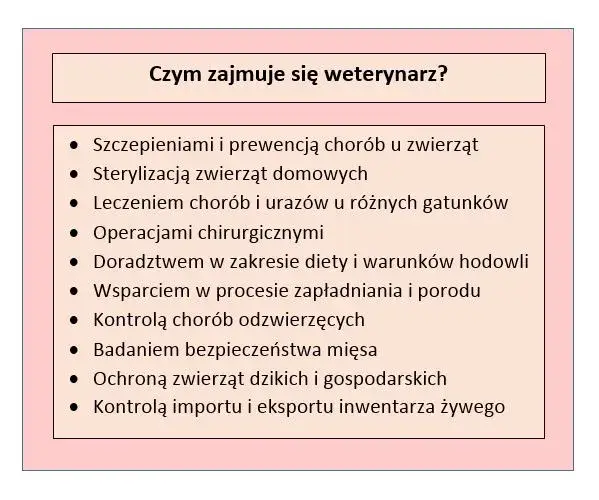 Czym zajmuje się weterynarz? Kluczowe obowiązki i usługi dla zwierząt