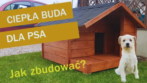 Jak zrobić budę dla psa - krok po kroku z dokładnymi wymiarami