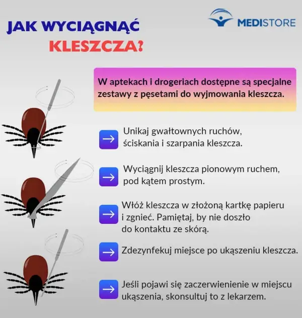 Jak bezpiecznie wyjąć kleszcza kotu i uniknąć groźnych konsekwencji